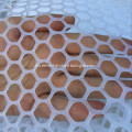 /msite/products/detail/productid/56469773/id/542368.html